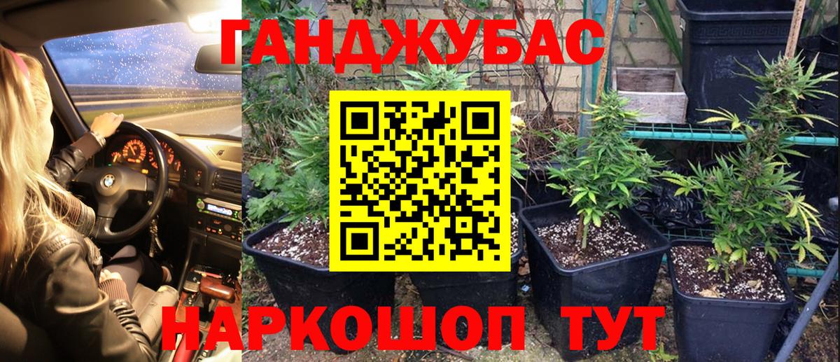 МАРИХУАНА гибрид  Марихуана план  Вход с VPN  Канабис White Widow  Канабис план  Чернушка 